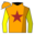 Runner silk