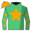 Runner silk