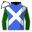 Runner silk