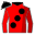 Runner silk